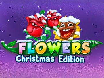 Flowers Christmas Edition
